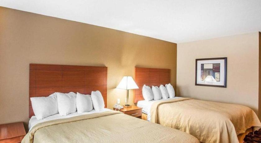 Quality & Hotel