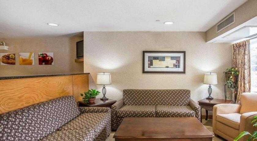 Quality & Hotel